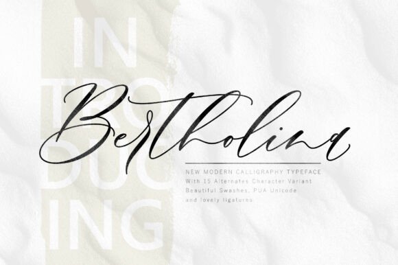 Discover Bertholina: The Elegance in Modern Calligraphy
