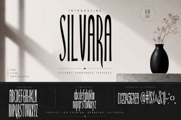 Discover Silvara: A Bold and Stylish Display Font for Modern Design