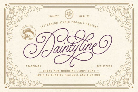 Elevate Your Brand Aesthetic with Daintyline