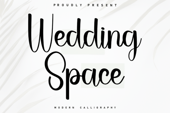 Exploring Wedding Space: A Charming Handwritten Font