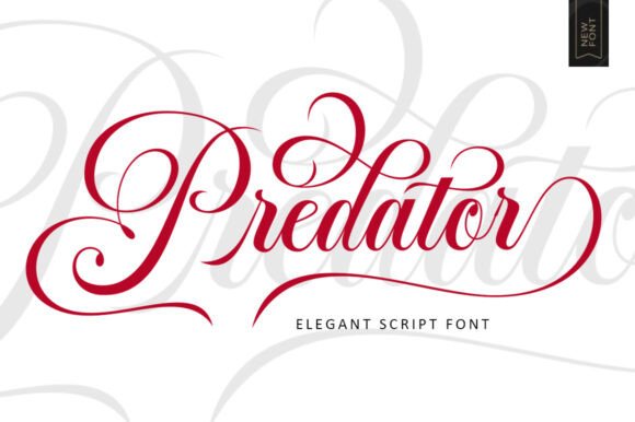Predator: Elevating Your Brand with Strategic Typography